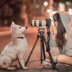 puppy-3688871_1280