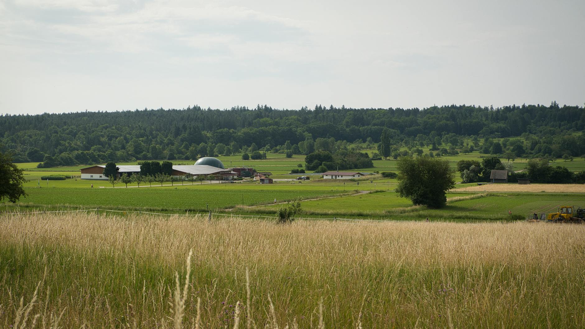 Letni krajobraz wiejskich pól z zielonymi łąkami i uprawami